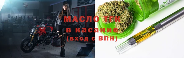 сатива Бородино