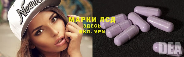 дживик Белокуриха