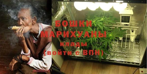 дживик Белокуриха