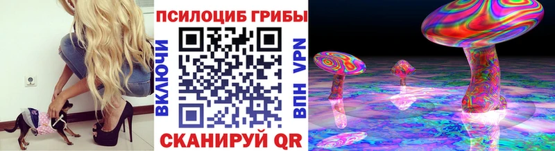 Псилоцибиновые грибы мицелий  Кашира 
